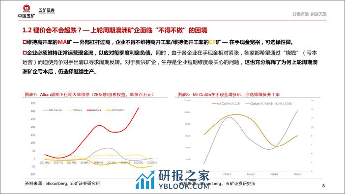 新能源行业：危中寻机—我们对锂价是否过于悲观？ - 第8页预览图