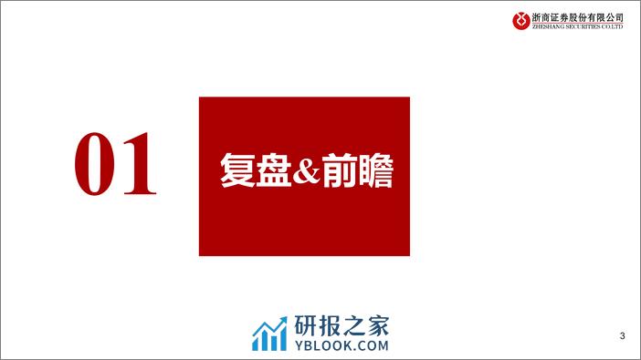 浙商证券-原料药与仿制药Q1业绩前瞻：寻找拐点，挖掘弹性 - 第3页预览图