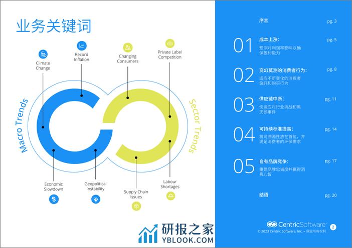 2024全球快消品业务关键词洞察报告-CentricSoftware - 第2页预览图