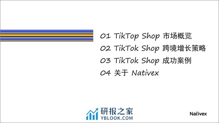 0SSS-Nativex：TikTok Shop跨境电商增长宝典 - 第2页预览图