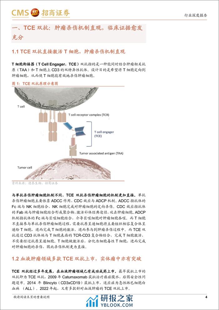 创新药系列报告(四)-TCE双抗行业深度：结构设计映射临床疗效，实体瘤适应症有所突破-240321-招商证券-20页 - 第4页预览图