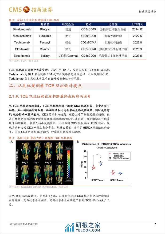 创新药系列报告(四)-TCE双抗行业深度：结构设计映射临床疗效，实体瘤适应症有所突破-240321-招商证券-20页 - 第5页预览图