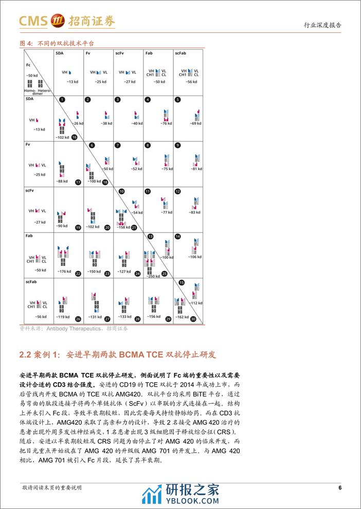 创新药系列报告(四)-TCE双抗行业深度：结构设计映射临床疗效，实体瘤适应症有所突破-240321-招商证券-20页 - 第6页预览图