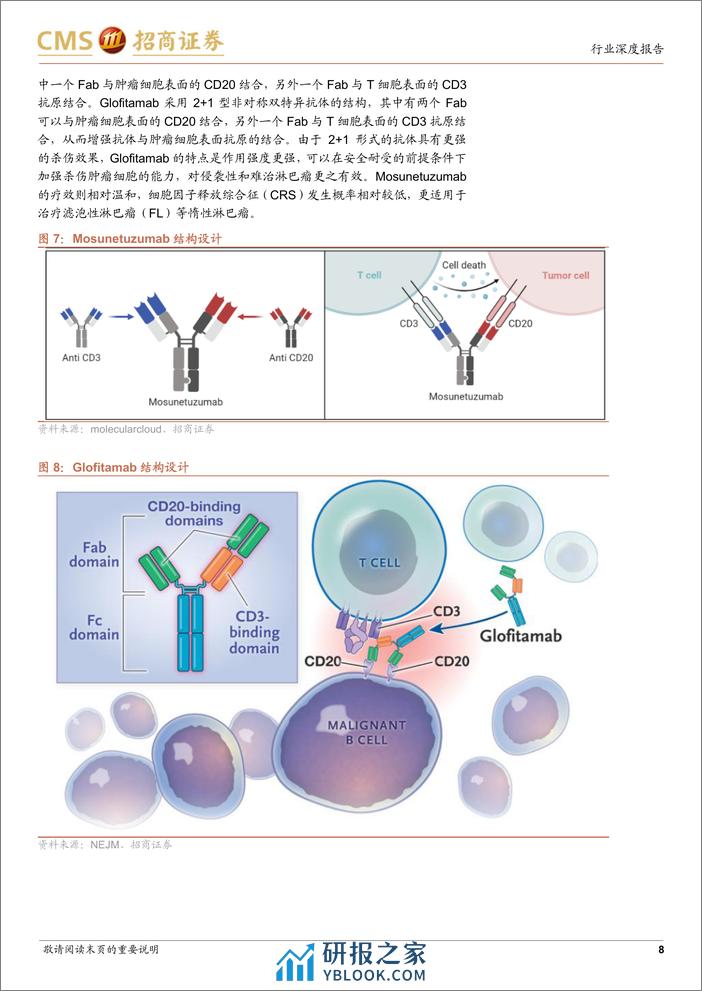 创新药系列报告(四)-TCE双抗行业深度：结构设计映射临床疗效，实体瘤适应症有所突破-240321-招商证券-20页 - 第8页预览图