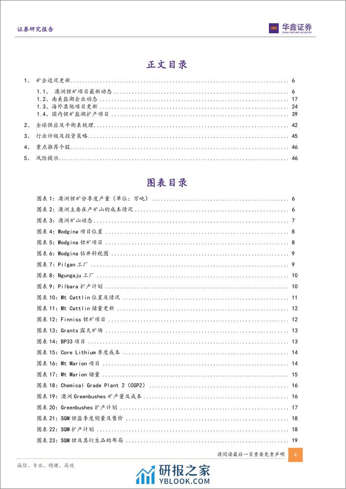 小金属行业深度报告-锂价寻底之旅-全球锂资源供应最新盘点-华鑫证券 - 第4页预览图