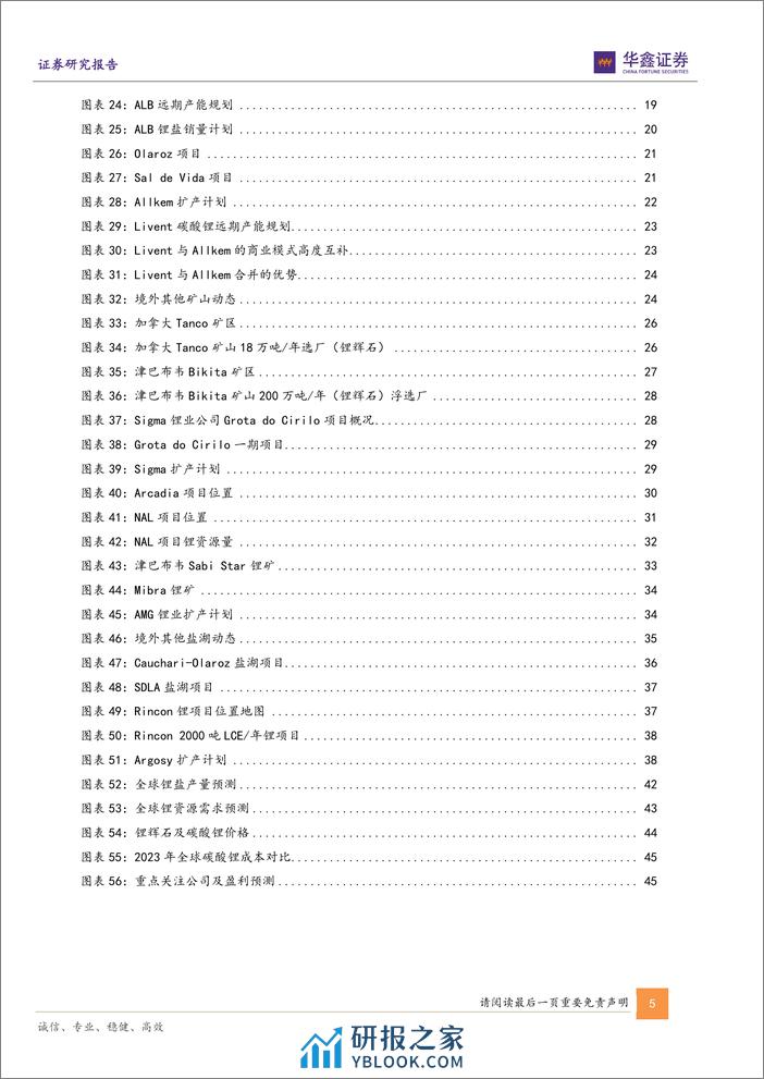 小金属行业深度报告-锂价寻底之旅-全球锂资源供应最新盘点-华鑫证券 - 第5页预览图