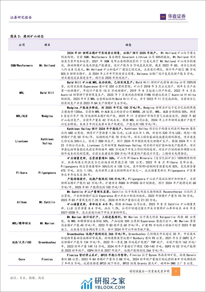 小金属行业深度报告-锂价寻底之旅-全球锂资源供应最新盘点-华鑫证券 - 第7页预览图