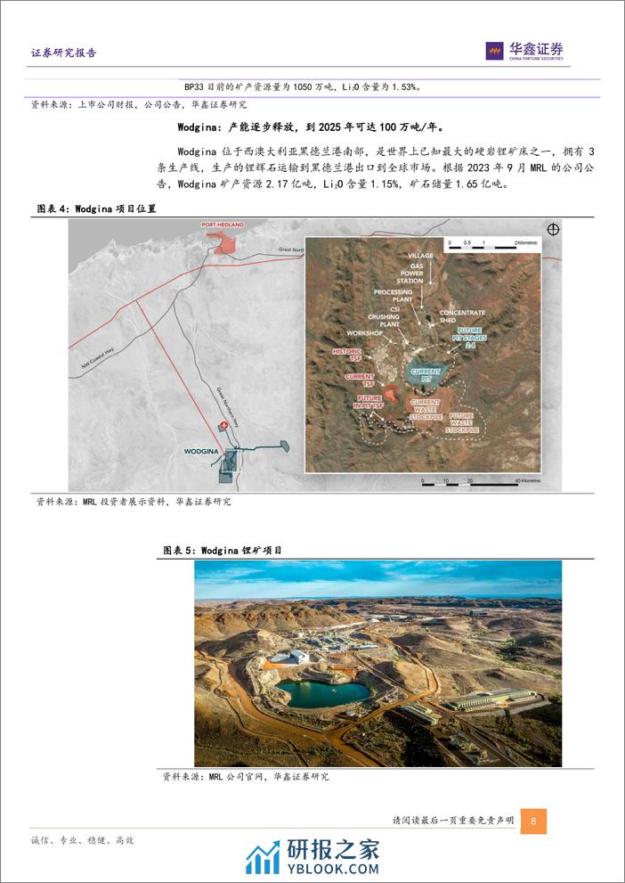 小金属行业深度报告-锂价寻底之旅-全球锂资源供应最新盘点-华鑫证券 - 第8页预览图