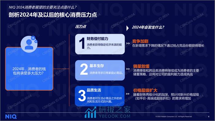 NIQ 2024中国消费者展望 - 第4页预览图