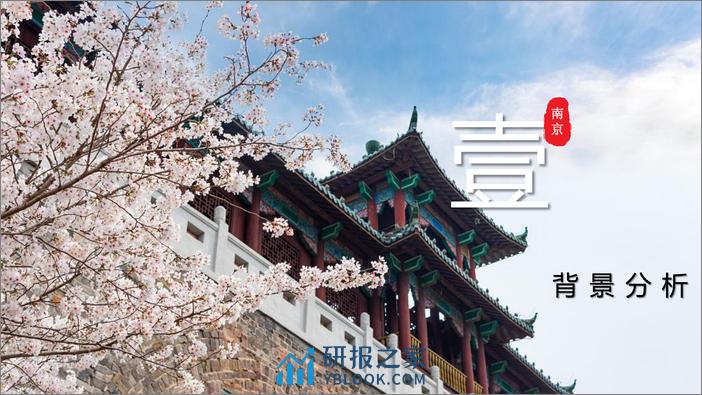 2022年南京文旅深度游小红书营销方案 - 第3页预览图