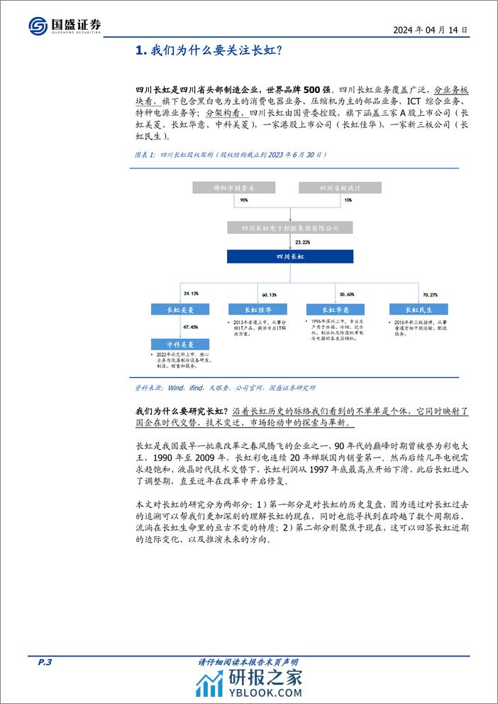 国盛证券-家用电器：国企改革系列之四：四川长虹史 - 第3页预览图