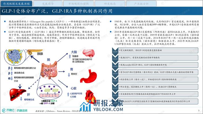 降糖减重明星药—GLP-1产业现状与未来发展报告-药融咨询 - 第3页预览图