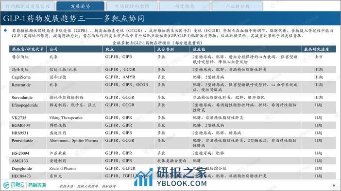 降糖减重明星药—GLP-1产业现状与未来发展报告-药融咨询 - 第6页预览图