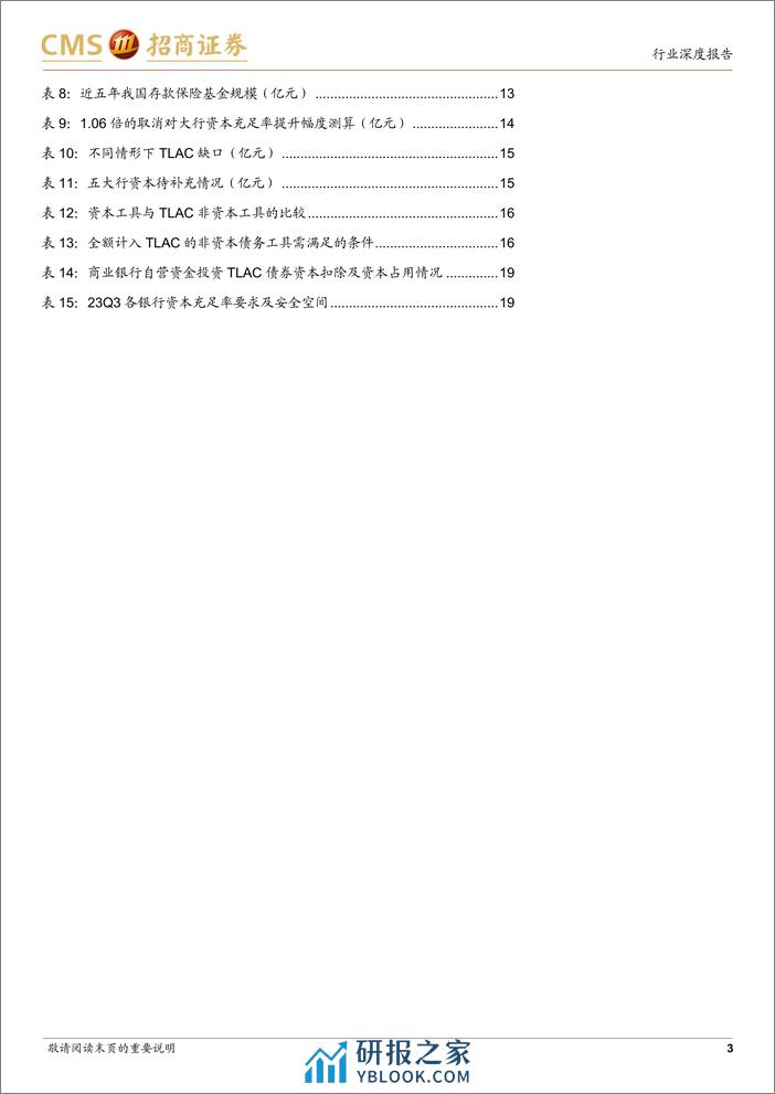 银行：2024年TLAC债及资本债供给怎么看？ - 第3页预览图