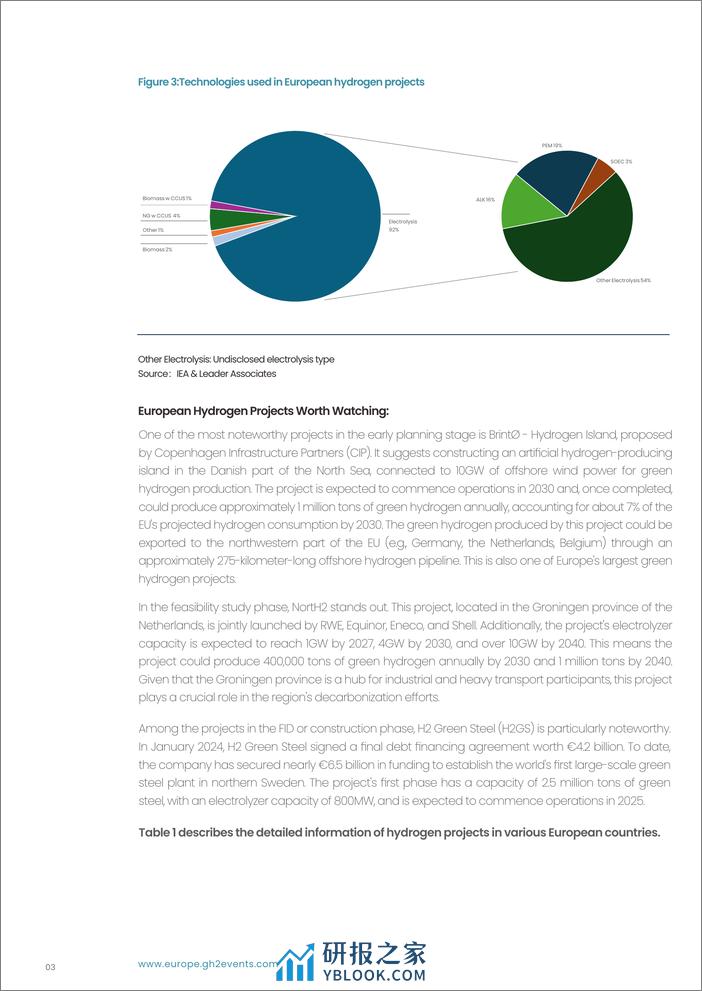 欧洲绿氢项目2024新动向白皮书 - 第5页预览图