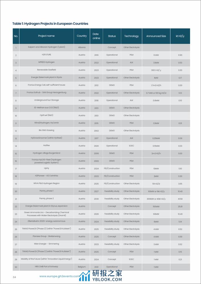 欧洲绿氢项目2024新动向白皮书 - 第6页预览图