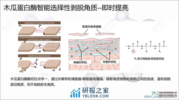 核芯4D生物酶引领护肤新纪元-上海际舟化学 - 第8页预览图