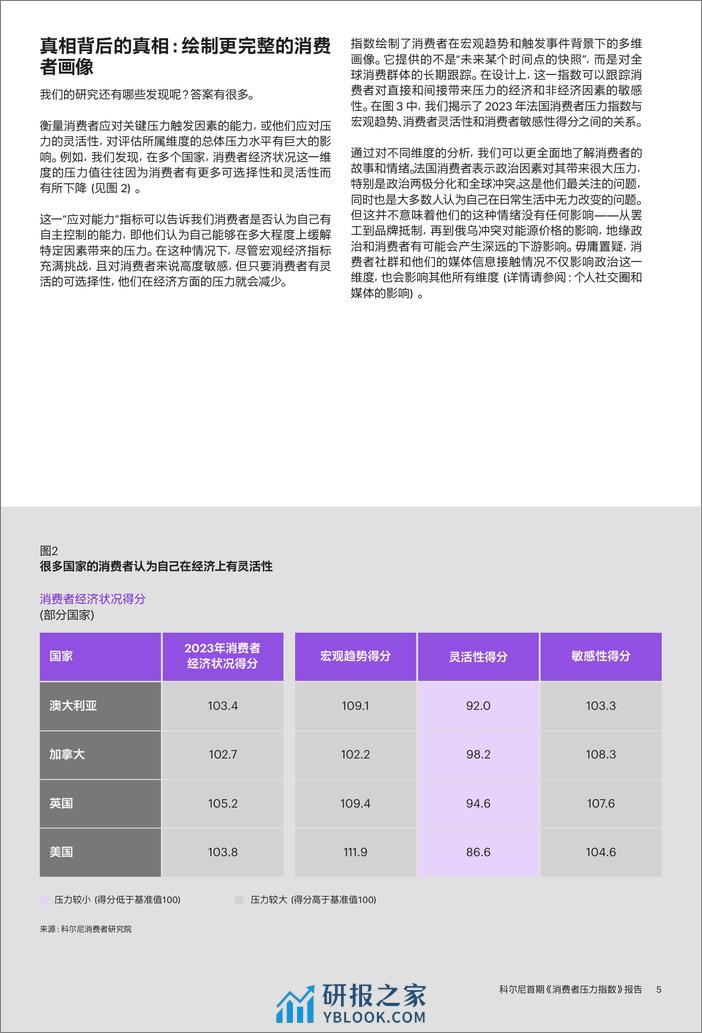 科尔尼首期-消费者压力指数-报告 - 第7页预览图