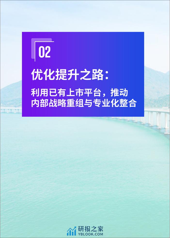 国有上市公司优化提升与市值管理 - 第8页预览图