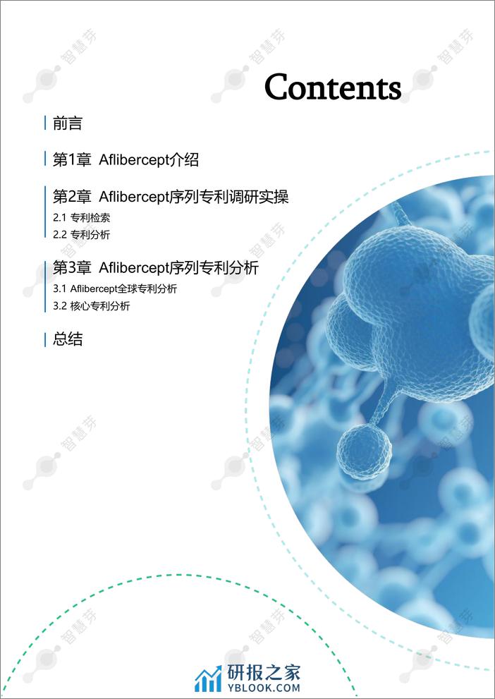 融合蛋白Aflibercept序列专利调研实操指南 - 第3页预览图