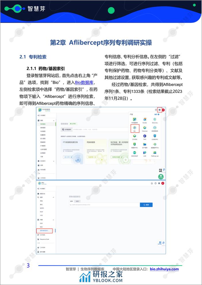 融合蛋白Aflibercept序列专利调研实操指南 - 第6页预览图