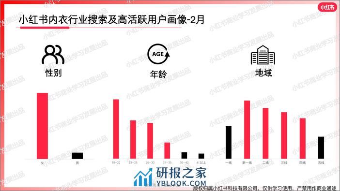 小红书2024年内衣行业月报-2月-19页 - 第4页预览图