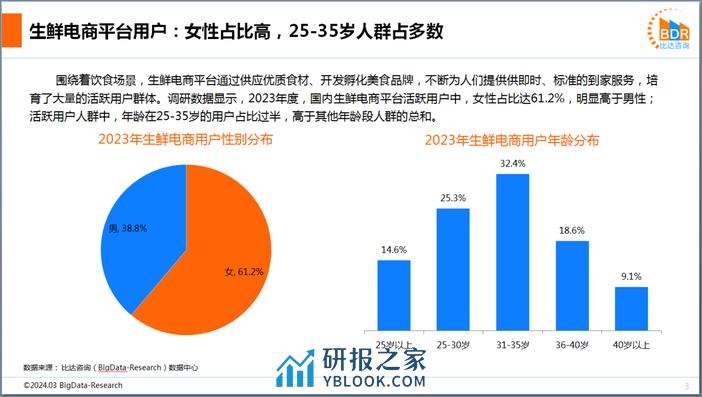 2023年度中国生鲜电商市场（简版） - 第3页预览图