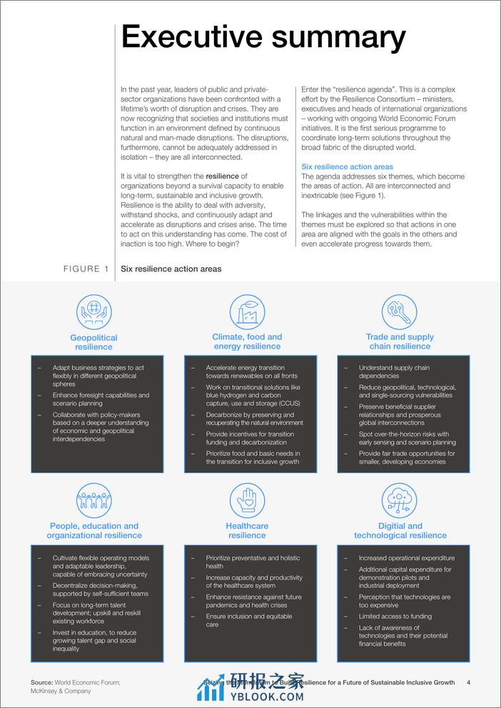 抓住势头，为可持续包容性增长的未来建立韧性（英文版）-世界经济论坛 - 第4页预览图