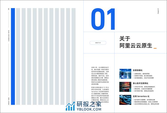 云原生应用平台产品手册-阿里云 - 第3页预览图