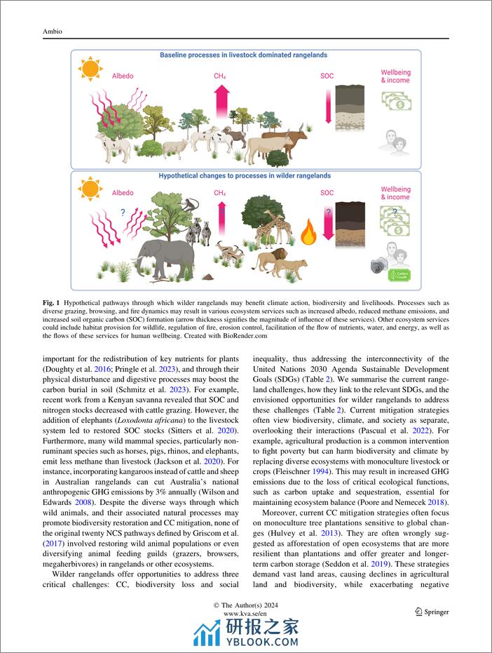 荒野牧场作为自然气候机遇：将气候行动与生物多样性保护和社会转型联系起来 - 第5页预览图