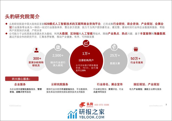 SSS-2021年跨境电商独立站行业概览 - 第3页预览图