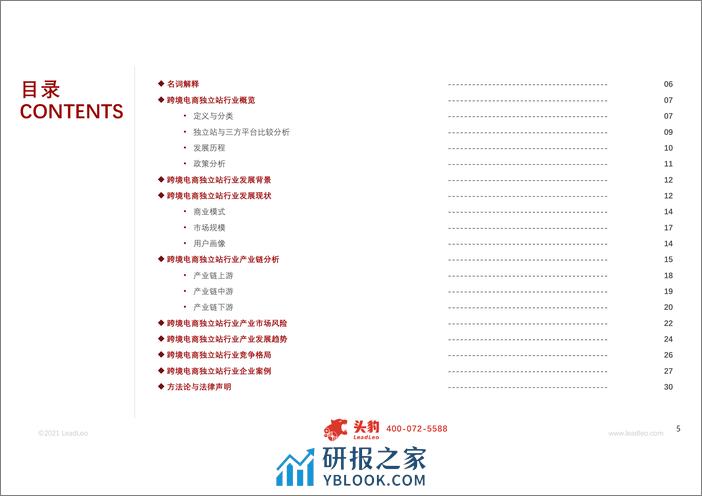 SSS-2021年跨境电商独立站行业概览 - 第5页预览图