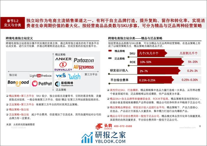 SSS-2021年跨境电商独立站行业概览 - 第8页预览图