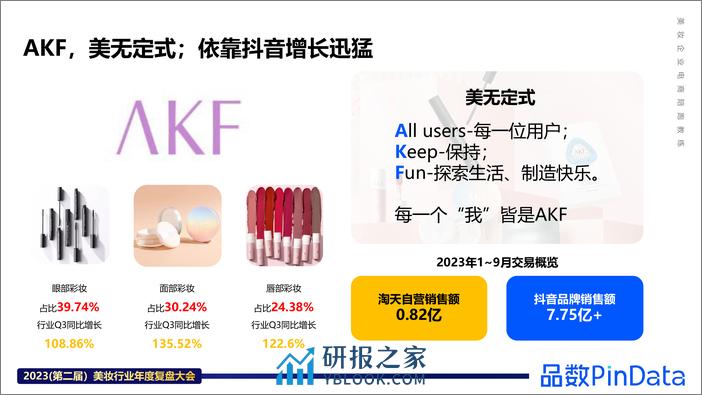 解数咨询：AKF品牌案例 - 第2页预览图