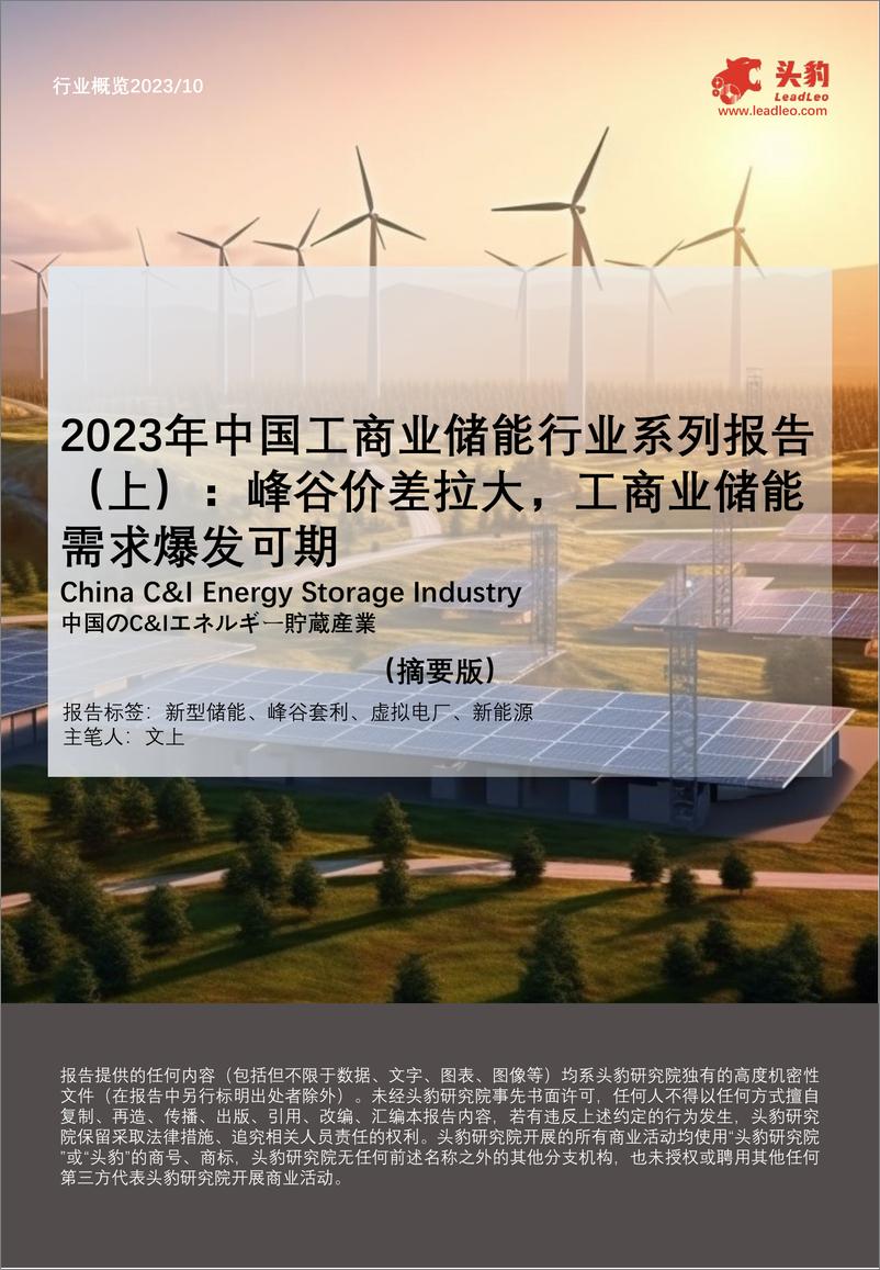 报告《2023年中国工商业储能行业系列报告（上）：峰谷价差拉大，工商业储能需求爆发可期（摘要版）-头豹研究院》的封面图片