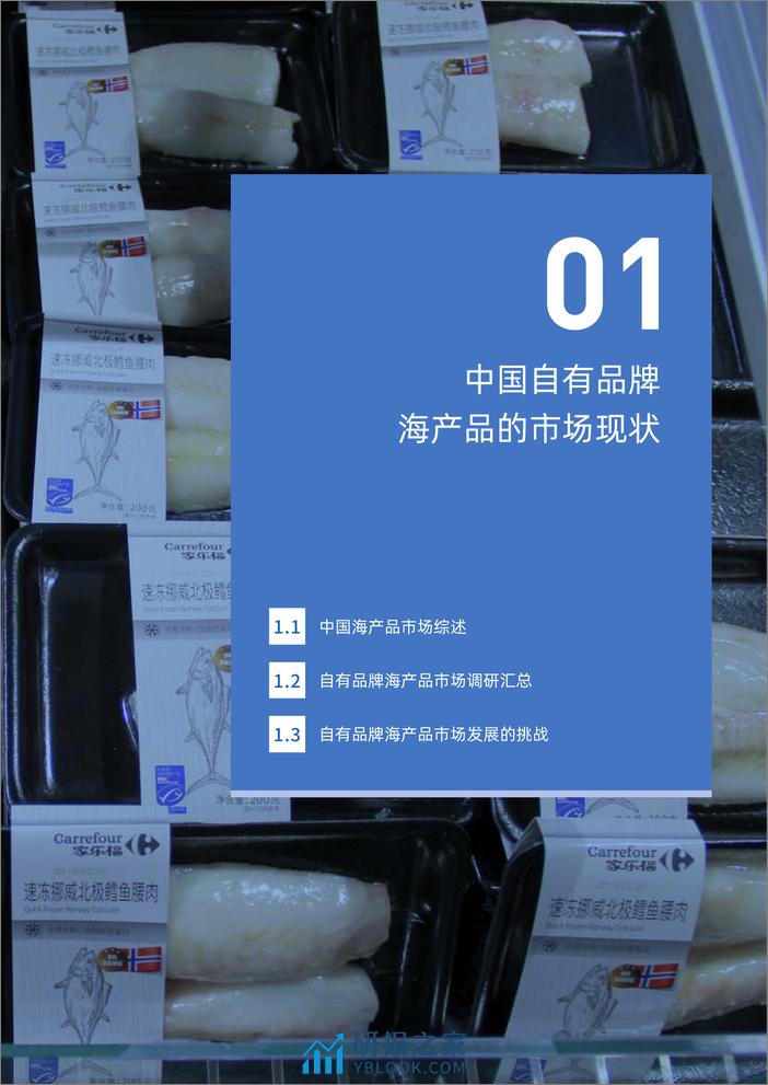 零售业自有品牌与可持续海产品发展报告-CCFAx海洋馆里委员会 - 第6页预览图