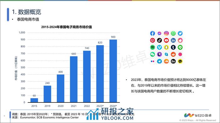 泰国社交媒体电商市场洞察-维卓 - 第6页预览图