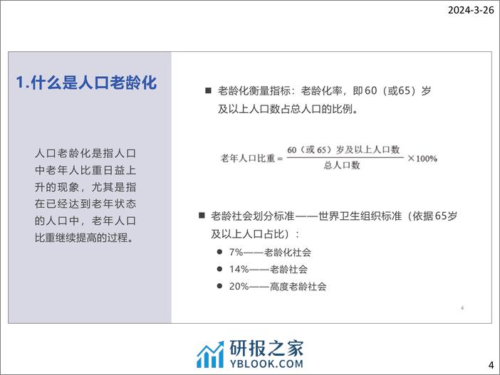 2024银发电商发展报告 - 第4页预览图