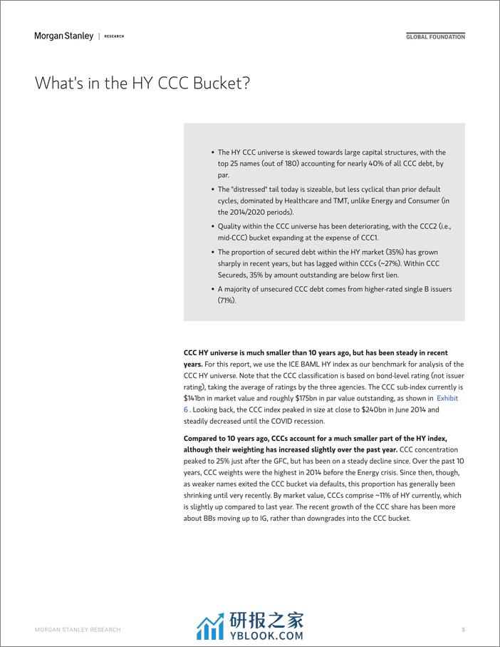 Morgan Stanley Fixed-Global Credit Strategy Playing CCC-atch Up-106408384 - 第5页预览图