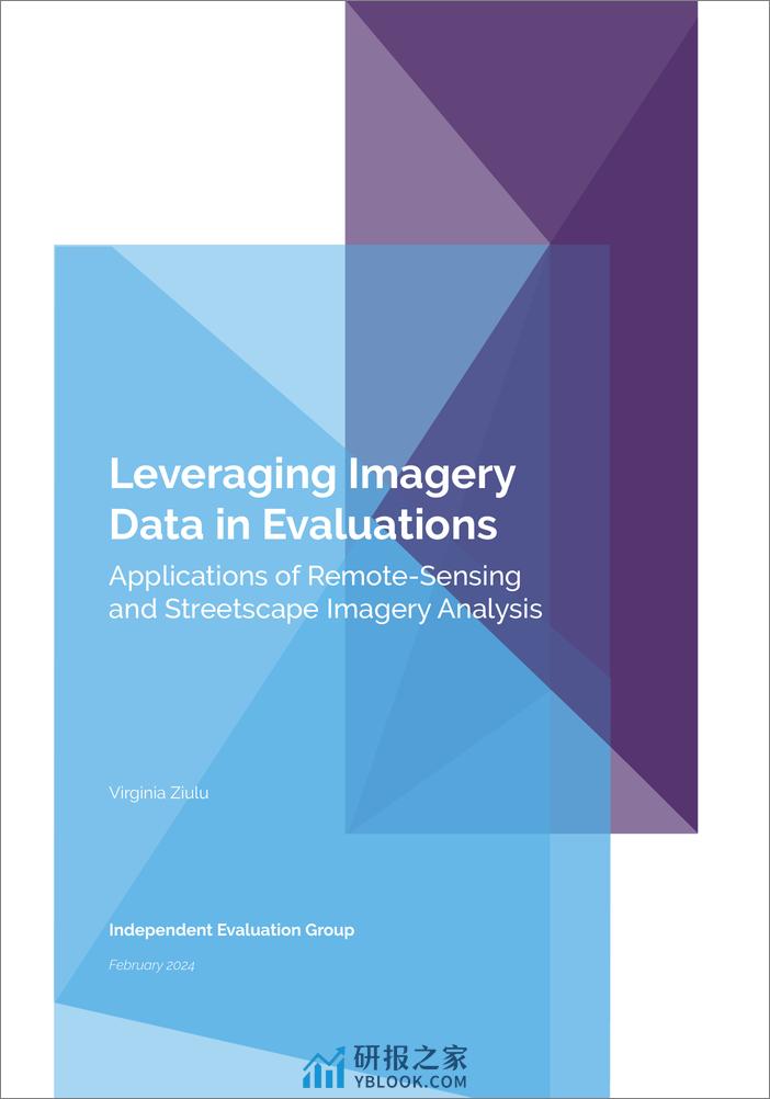 世界银行-利用图像数据进行评估：遥感和街景图像分析的应用（英）-2024.3-60页 - 第2页预览图