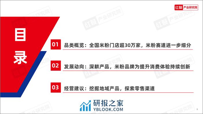 米粉品类发展报告2024-30页 - 第3页预览图