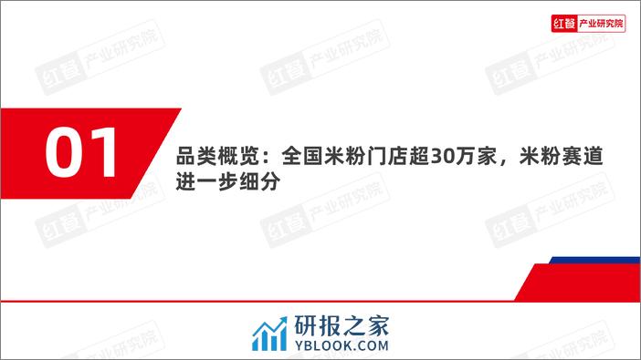 米粉品类发展报告2024-30页 - 第4页预览图