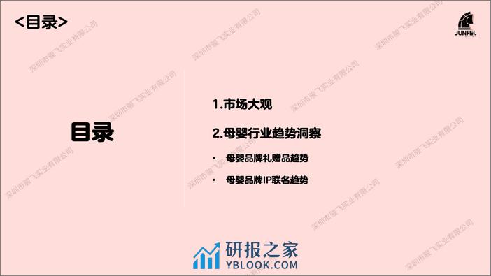 骏飞2024母婴礼品及IP趋势报告 - 第2页预览图