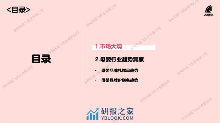 骏飞2024母婴礼品及IP趋势报告 - 第3页预览图