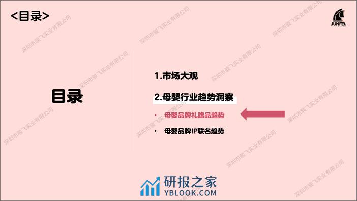 骏飞2024母婴礼品及IP趋势报告 - 第7页预览图