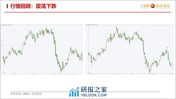 白糖及苹果月报：白糖下跌进行时-20240303-招商期货-24页 - 第5页预览图