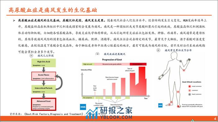 高尿酸血症和痛风行业全景图：国内千万痛风患者群体，亟待“疗效佳安全优”新药 - 第5页预览图