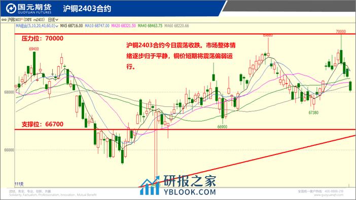 国元点睛-20240206-国元期货-26页 - 第3页预览图