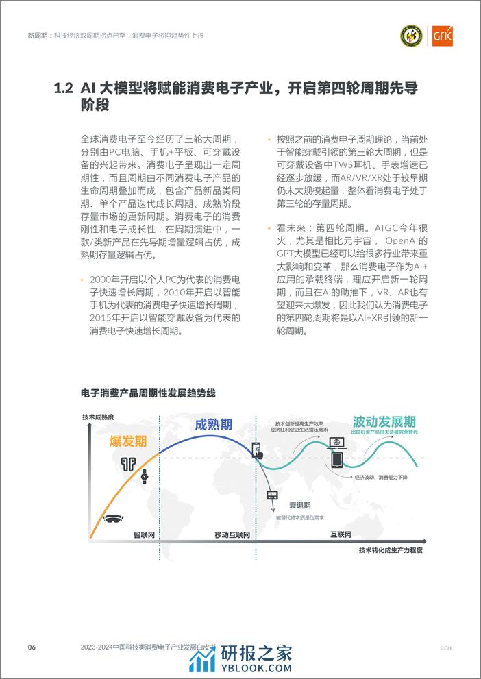 2023-2024中国科技类消费电子产业发展白皮书 - 第6页预览图