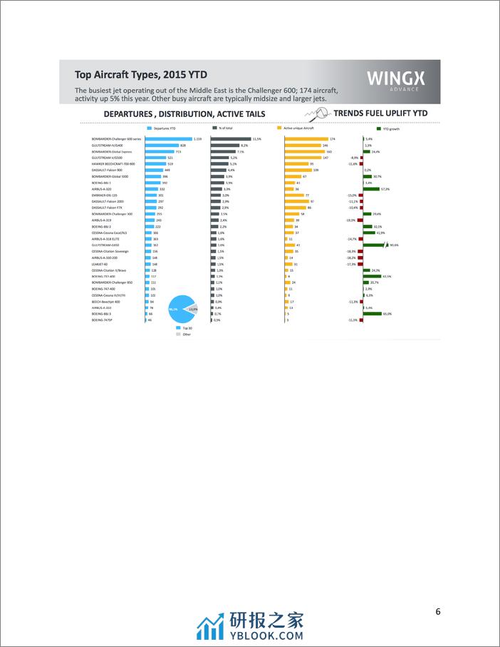 WealthX：2023年中东私人飞机报告 - 第6页预览图